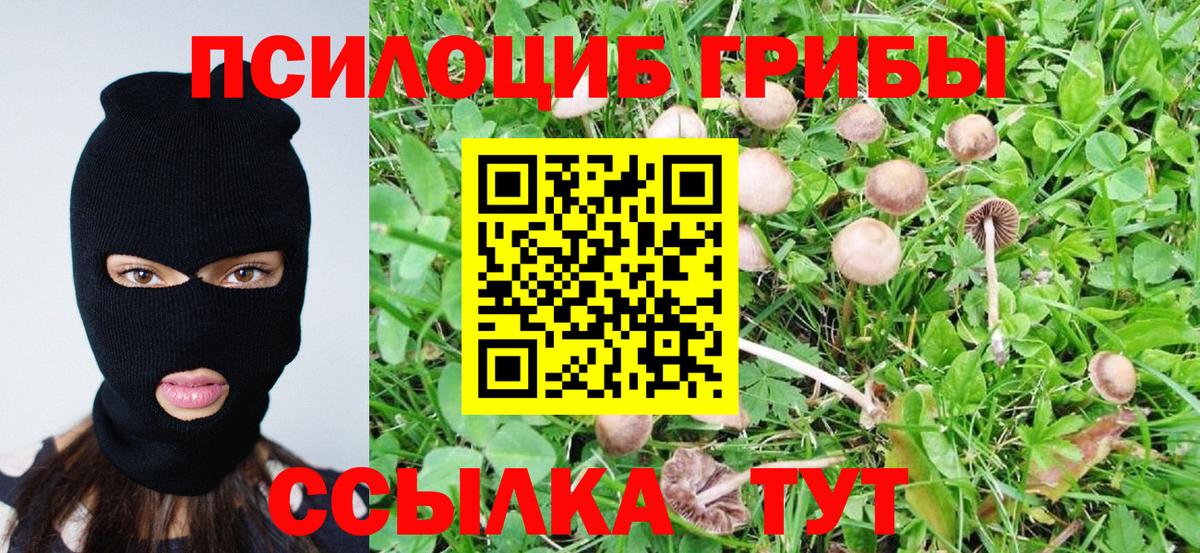 Псилоцибиновые грибы Magic Shrooms Тосно