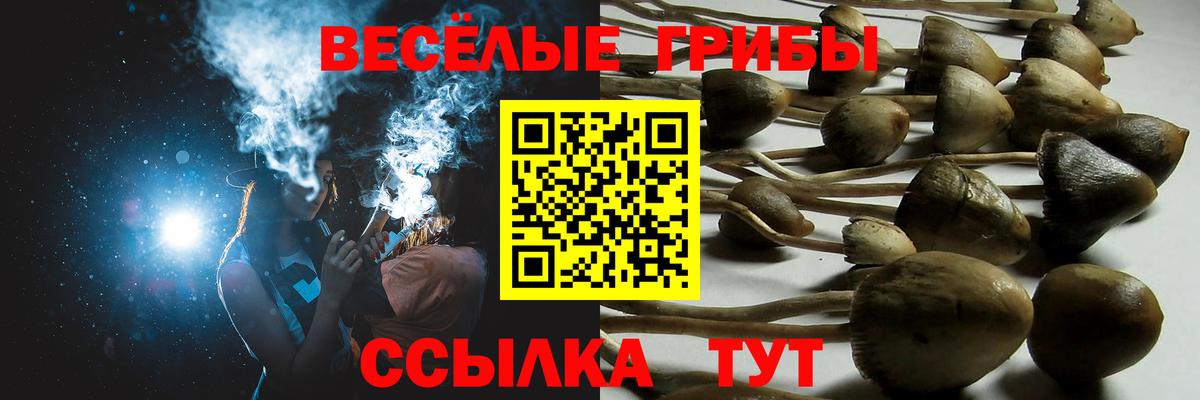 Тосно  Псилоцибиновые грибы ЛСД  где купить   Вход с VPN 